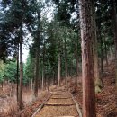 갈모봉산림욕장 이미지