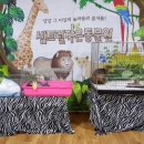 늘품자연유치원 이미지