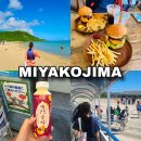 하마카용품 | 중기 태교여행(아라구스쿠해변-거북이 출몰, 마에하마 비치,선데이즈 수제버거, 돈키호테, 리쿼샵/빅원...