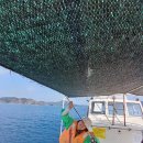 써니하우스 민박 이미지