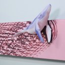 인천공항초등학교신도분교장 이미지