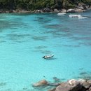 서울보증보험 앞 교통섬 | 푸켓 시밀란섬 투어 후기 추천 사와누 태국 여행지 추천 준비물 개방 기간