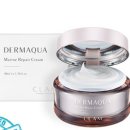 주식회사 끌렘 이미지