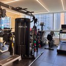 THE 강해짐 이미지