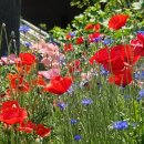 쉼터 낚시터 이미지