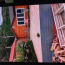 한전농장 이미지