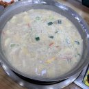 놀뫼애견 이미지