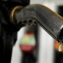 주유전자 이미지