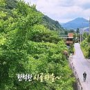 "1988 서울올림픽에 로봇 의상을 선보였다?" 노랑다리미술관 손일광 동네한바퀴 376화!