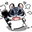 브이아이피유통