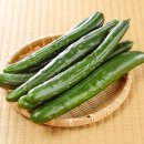 제이앤팜 이미지