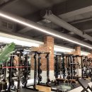 마일스톤 짐 이미지