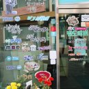 애견동화 이미지