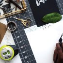 광성전자 이미지