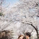 관내정숙 이미지
