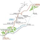 블랑1556