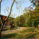 주전가족휴양지캠핑장화장실 이미지