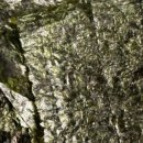 올리브영 작전점 이미지