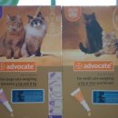 늘봄동물약국 이미지