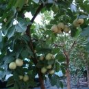 학의농장 이미지