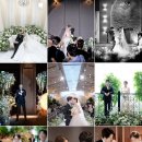 다시봄날 | W5. 본식 메인스냅 ㅣ 메인스냅 추천 ㅣ 메인스냅 계약후기 ㅣ 다시봄날