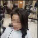 라니헤어(RANI)