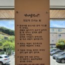 안성전통해물칼국수 | [강경해물칼국수 경기본점] 충북 충남지방 30년 전통을 가진 강경해물칼국수 솔직 후기