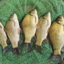 초평낚시터 이미지