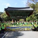 대한행정사회 이미지