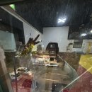 용인대 구성 유도 체육관 이미지