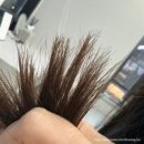 유로스파 | 운정 미용실 유로소헤어 밀본 리페어 클리닉 후기