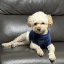 곱창언니 쭈꾸미오빠 | 인생은 기세!!