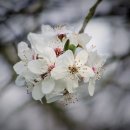 신평1동-3 이미지