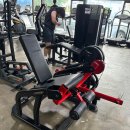 디랙스 랫풀다운 뉴텍 레그익스텐션 팝니다 이미지