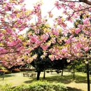 고성성심병원 이미지