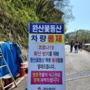 전주곤지중학교 | 전주 완산칠봉 꽃동산 겹벚꽃, 철쭉 개화현황