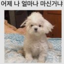 두리감자탕 이미지