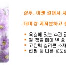 모라클