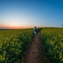 여명목장 이미지