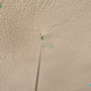 마령어린이집 이미지