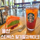 맘편한 약국 | 울산 성안동 스타벅스 뷰맛집 2층 산뷰 미쳤다 딸기말차 케이크 솔직후기