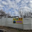 자유민박 이미지