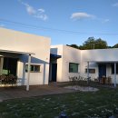 햄릿과 올리브 이미지