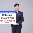 개미투