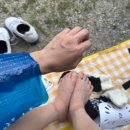 진안동풋살구장 풋살구장 | [제9회 펜타컵] 풋린이의 여성 풋살 대회 후기