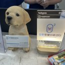 지축오투동물의료센터 네이버블로그