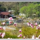 하얀배 민박 이미지