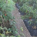 일랑이다 | [국내여행 17] 경남 남해 일랑이다 펜션 내돈내산 방문 후기 냉천 갯벌 체험 근처 남해 독채펜션 추천