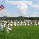 고양들소리 이미지