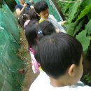 은빛나무어린이집 이미지